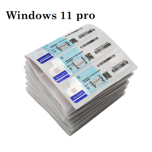 Licence Windows 11 Pro
